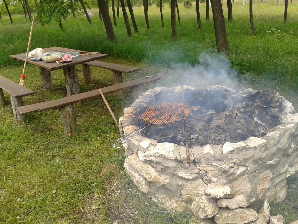 Vadaspuszta Vendeghaz Csatka Exterior foto